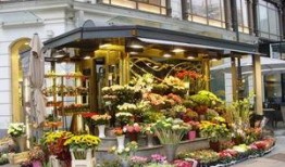 唐山花店爆料案件视频,真相揭露，正义终将到来