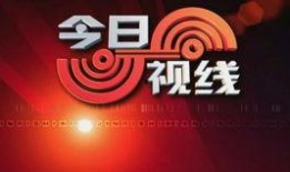 广东今日爆料官方网站首页,热点追踪，最新资讯速览