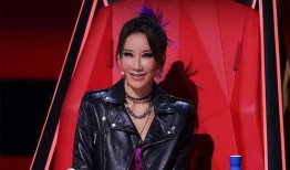 李纹爆料浙江卫视视频播放,揭秘行业黑幕