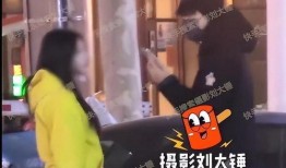 刘大锤爆料邓为的视频在线观看