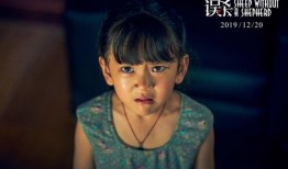 东北爆料的博主是谁呀视频,揭秘“东北爆料”背后的神秘人物