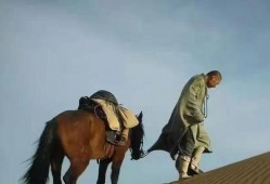 在线观看玄奘大师,西行取经的传奇之旅