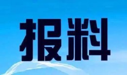 广东湛江新闻爆料,爆料的背后，揭开湛江发展新篇章