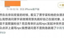 圈内爆料肖宇梁,圈内爆料揭示不为人知的背后故事