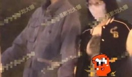 刘大锤爆料邓为的视频在线观看