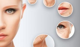 蛋仔纤维皮肤最新爆料