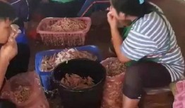 无骨鸡脚真实爆料视频,真实爆料视频曝光