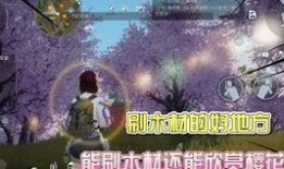 黎明觉醒野玫瑰爆料视频,野玫瑰爆料视频揭秘游戏内幕