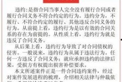 丹东饭店爆料案件始末视频,真相大白，疑云散去