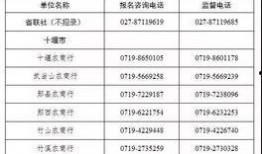 农商银行新爆料公告最新,揭秘最新公告背后的金融风云”