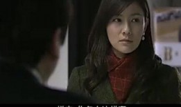 我的糟糠之妻全集在线观看,重温经典情感剧，见证爱情与成长的感人历程