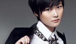 娱乐爆料李宇春视频大全,娱乐爆料背后的精彩瞬间