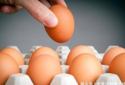 蛋仔纤维皮肤最新爆料