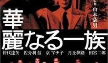 在线观看华丽家族,揭秘豪门背后的权谋与爱恨情仇