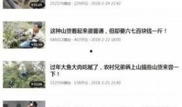 华南农业爆料事件视频,揭开养殖场惊人内幕