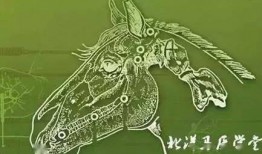 马医高清在线观看,宫廷医术传奇，宫廷秘闻尽收眼底