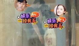 小花爆料家事视频全集,家事视频全集深度解析