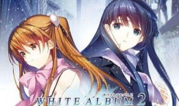 白色相簿2在线观看,青春回忆与命运交织的旋律