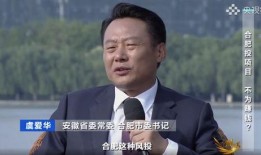 蔚来副总裁爆料事件视频,内幕揭秘与行业震动