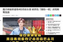 八卦最新事件爆料新闻视频,揭秘事件背后真相，视频爆料揭示惊人内幕