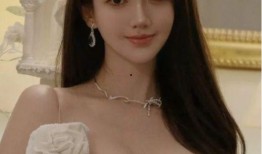 叶珂前夫爆料完整版视频,惊人内幕曝光