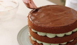 爆料巧克力蛋糕好吃吗视频,巧克力蛋糕，口感究竟如何？