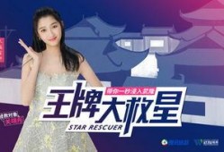 金富善爆料视频大全集最新,揭秘娱乐圈不为人知的秘密