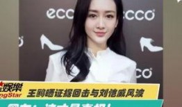 爆料视频剪辑,剪辑背后的惊人真相