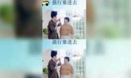 猫之城最新爆料视频,最新爆料视频带你探秘神秘猫界