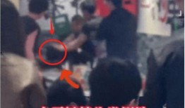 爆料打架事件视频播放,校园暴力事件引发热议，打架场面触目惊心