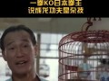 陈慧敏爆料视频播放全集,揭秘娱乐圈不为人知的真相