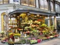 唐山花店爆料案件视频,真相揭露，正义终将到来