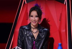 李纹爆料浙江卫视视频播放,揭秘行业黑幕