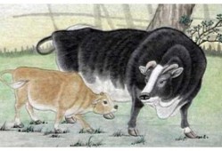 最新版本大爆料牛气冲天,揭秘科技巨头新动向