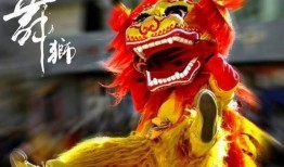 舞狮少年爆料视频完整版,完整版爆料视频背后的故事与感动