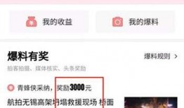 株洲今日头条爆料,揭秘株洲最新热点事件背后的真相