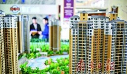 楼盘延期交楼爆料新闻,业主维权背后的真相与挑战