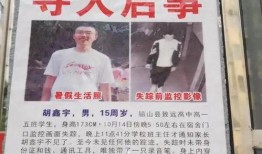 江西男孩最新消息 爆料,勇敢少年勇闯天涯，家国情怀感动全网