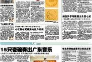 新闻爆料价格,价格波动引发市场热议，揭秘幕后真相