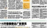 新闻爆料价格,价格波动引发市场热议，揭秘幕后真相