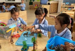 珠海幼儿园爆料新闻最新,紧急救援与后续调查展开