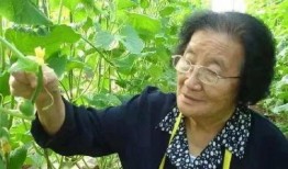 摆烂吃瓜满朝文武嘻嘻不嘻嘻免费,揭秘宫廷背后的嬉笑故事
