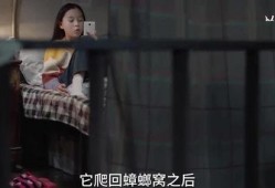 蛇姐最新爆料视频网站,视频网站内幕大曝光！