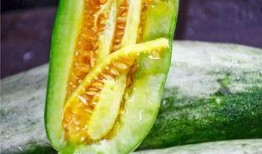网红吃瓜全免费,免费畅享娱乐圈新鲜资讯