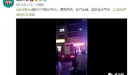 方圆被爆料视频是哪一集,揭秘哪一集引发热议