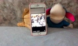 娱乐吃瓜lg,吃瓜群众背后的故事