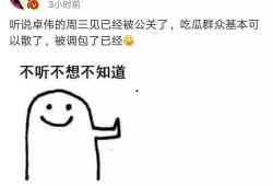 卓伟爆料小薇视频大全,小薇视频大全揭秘，真相背后引人深思
