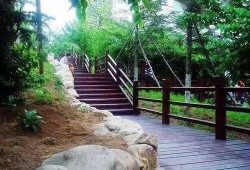 长春美人松街最新爆料,揭秘老街新颜，漫步时光隧道