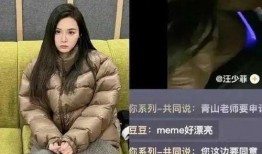 张颖爆料出轨的女人视频,揭秘神秘女子身份及事件始末