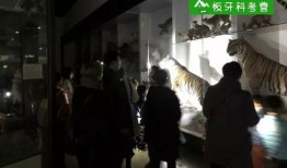 探馆爆料悬念视频大全,悬念视频大全背后的精彩瞬间